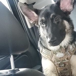 Fundraising Page: Angelica Reddick